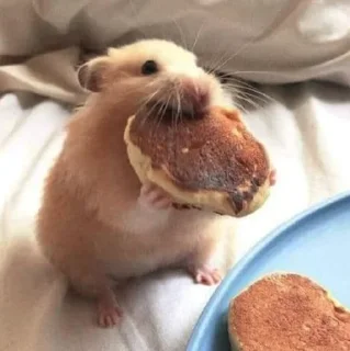🤤-Hamsters, Telegram Sticker