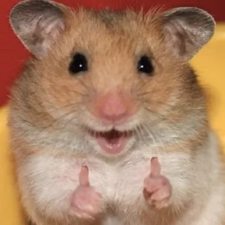 👍-Hamsters, Telegram Sticker