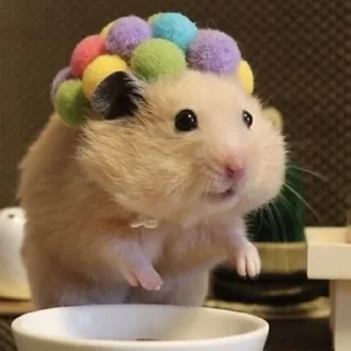 🙂-Hamsters, Telegram Sticker