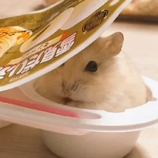 🫠-Hamsters, Telegram Sticker