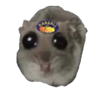 🙂-sad hamster by weekkoi, Telegram Sticker
