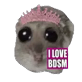 🥹-sad hamster by weekkoi, Telegram Sticker