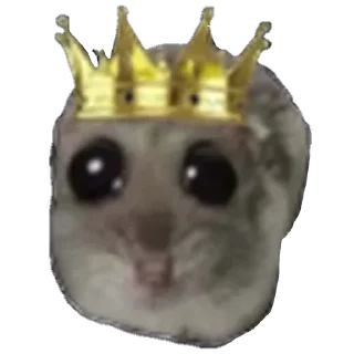 👑-sad hamster by weekkoi, Telegram Sticker
