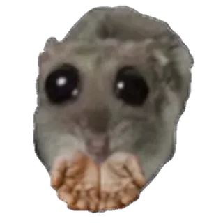 🥹-sad hamster by weekkoi, Telegram Sticker