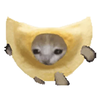 🐈-Happy @Katak66, Telegram Sticker