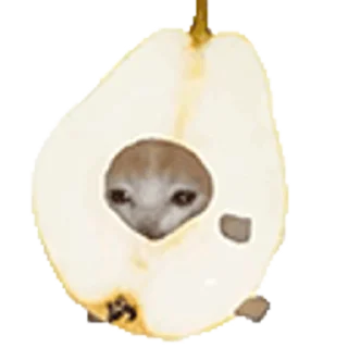 🐈-Happy @Katak66, Telegram Sticker