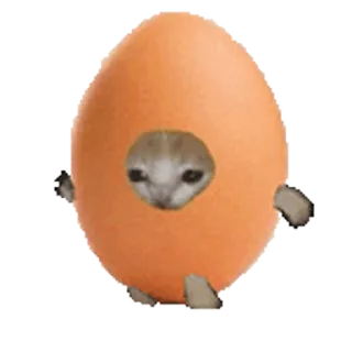 🐈-Happy @Katak66, Telegram Sticker