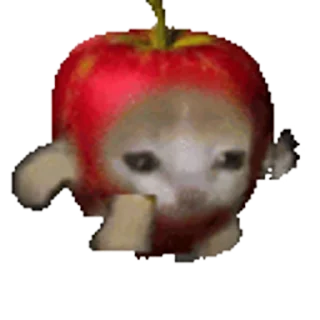 🐈-Happy @Katak66, Telegram Sticker