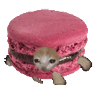 🐈-Happy @Katak66, Telegram Sticker