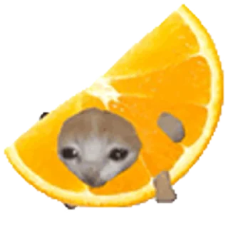 🐈-Happy @Katak66, Telegram Sticker