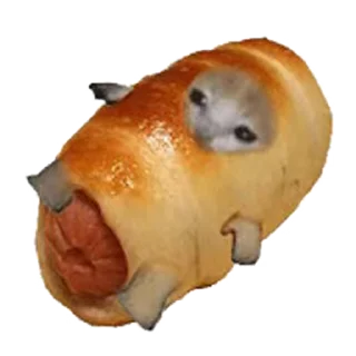 🐈-Happy @Katak66, Telegram Sticker
