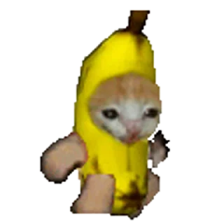 🐈-Happy @Katak66, Telegram Sticker