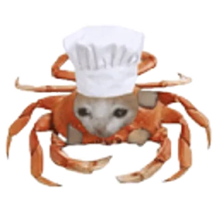 🦀-Happy @Katak66, Telegram Sticker