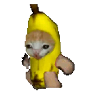 🐈-Happy @Katak66, Telegram Sticker