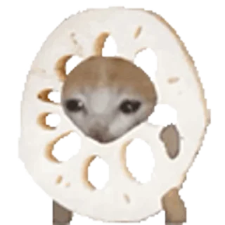 🐈-Happy @Katak66, Telegram Sticker