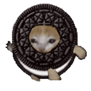🍪-Happy @Katak66, Telegram Sticker