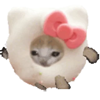 🐈-Happy @Katak66, Telegram Sticker