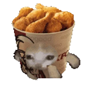 🐈-Happy @Katak66, Telegram Sticker