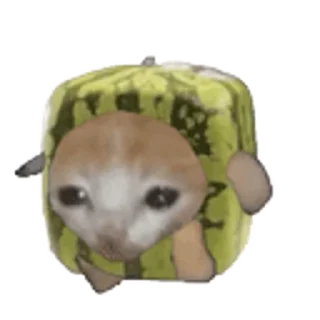 🐈-Happy @Katak66, Telegram Sticker
