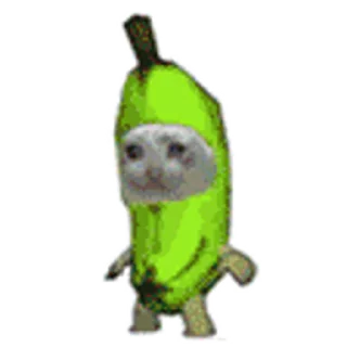 🐈-Happy @Katak66, Telegram Sticker