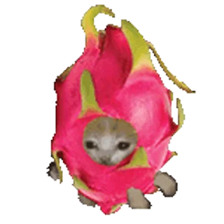 🐈-Happy @Katak66, Telegram Sticker