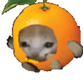 🍊-Happy @Katak66, Telegram Sticker