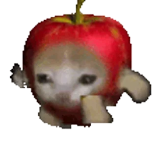 🐈-Happy @Katak66, Telegram Sticker