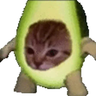 🐈-Happy @Katak66, Telegram Sticker