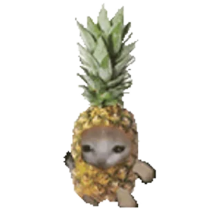 🐈-Happy @Katak66, Telegram Sticker