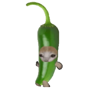 🐈-Happy @Katak66, Telegram Sticker
