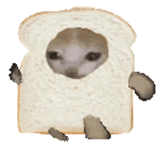 🍞-Happy @Katak66, Telegram Sticker