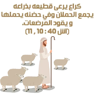 🐑-بيقولو مينا, Telegram Sticker