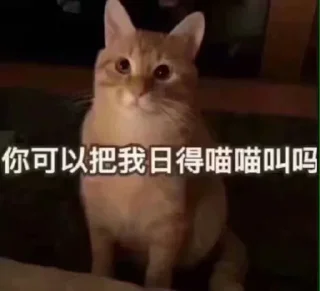 🐱-卡子的快乐生活 @J9_NB, Telegram Sticker