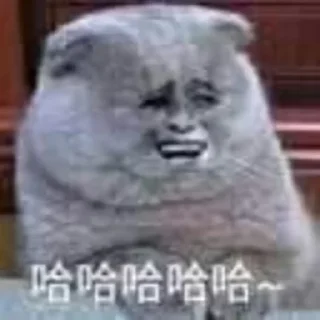 🤣-卡子的快乐生活 @J9_NB, Telegram Sticker