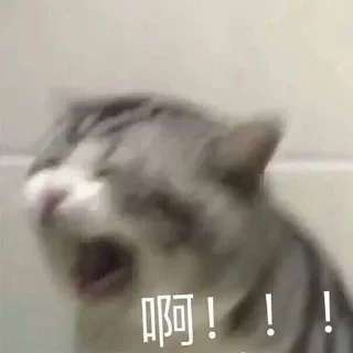 😵-卡子的快乐生活 @J9_NB, Telegram Sticker