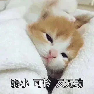 🤤-卡子的快乐生活 @J9_NB, Telegram Sticker