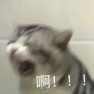 😵-卡子的快乐生活 @J9_NB, Telegram Sticker