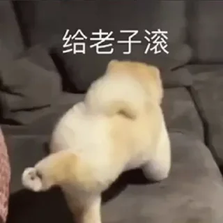 🦶-卡子的快乐生活 @J9_NB, Telegram Sticker