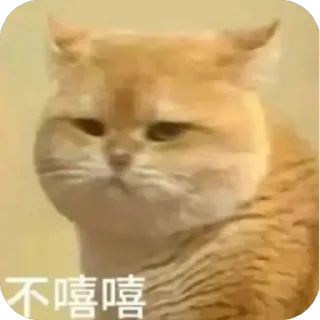 🥲-卡子的快乐生活 @J9_NB, Telegram Sticker