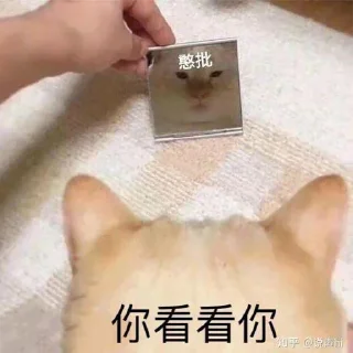 🤨-卡子的快乐生活 @J9_NB, Telegram Sticker