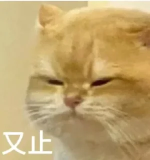 😖-卡子的快乐生活 @J9_NB, Telegram Sticker