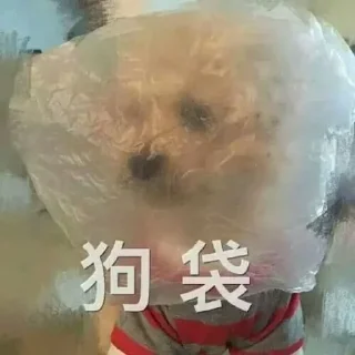 🙊-卡子的快乐生活 @J9_NB, Telegram Sticker