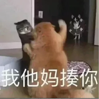 🤛-卡子的快乐生活 @J9_NB, Telegram Sticker