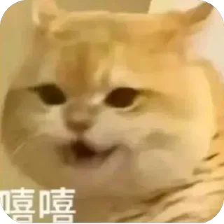 😁-卡子的快乐生活 @J9_NB, Telegram Sticker