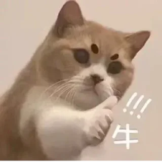 👍-卡子的快乐生活 @J9_NB, Telegram Sticker