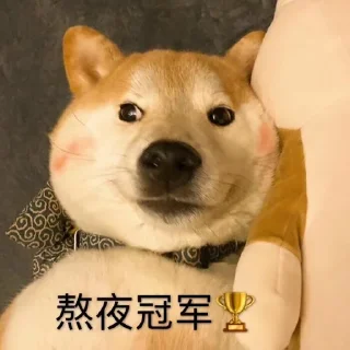 👑-卡子的快乐生活 @J9_NB, Telegram Sticker