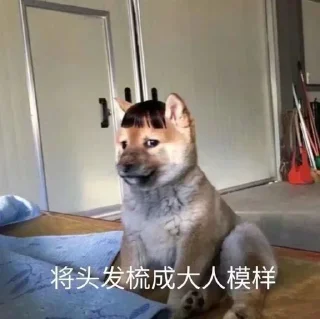 🧑-卡子的快乐生活 @J9_NB, Telegram Sticker