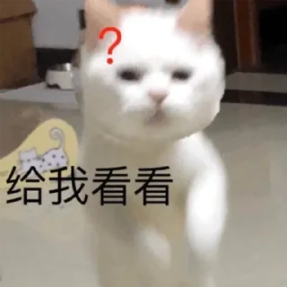 ❓-卡子的快乐生活 @J9_NB, Telegram Sticker