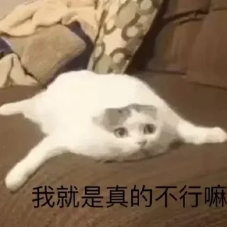 😪-卡子的快乐生活 @J9_NB, Telegram Sticker