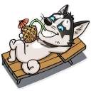 😛-Husko, Telegram Sticker